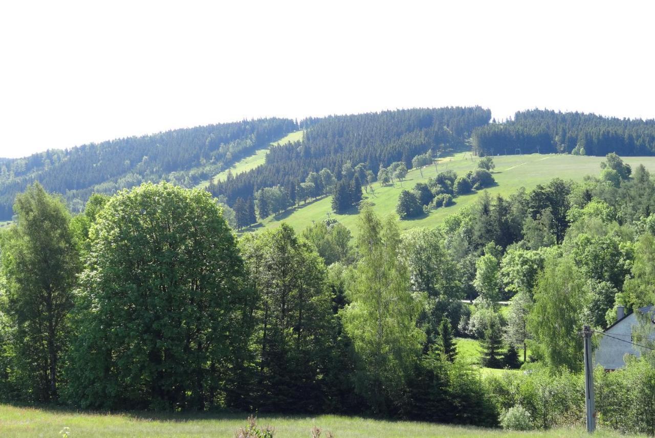 Apartman Karovi Destne v Orlickych horach Buitenkant foto