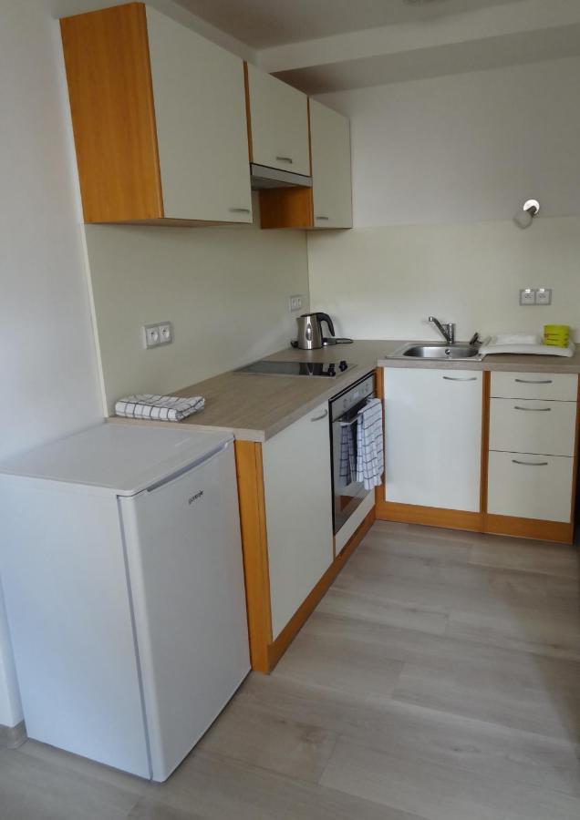 Apartman Karovi Destne v Orlickych horach Buitenkant foto